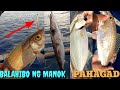 Primitive style, traditional fishing philippines ,(PAHAGAD)