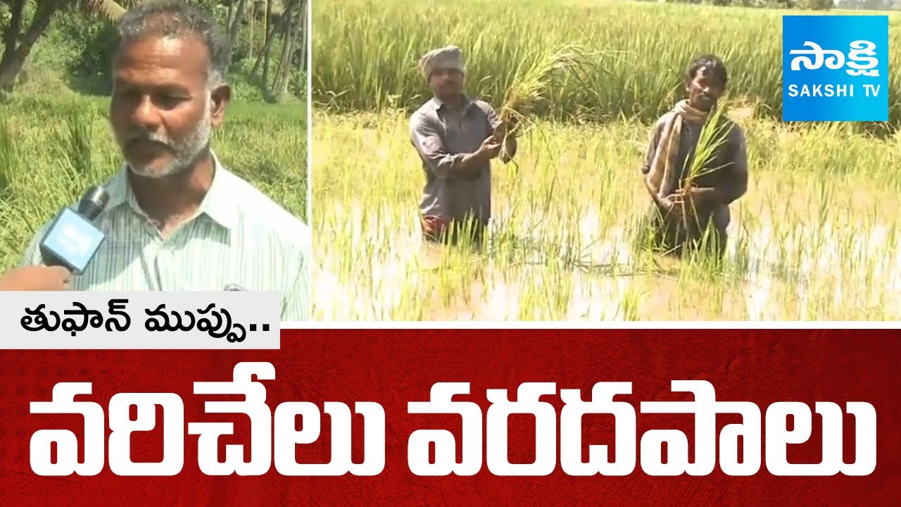 Huge Crop Damage Due to Montha Cyclone | VK Rayavaram Farmers Problems ...
