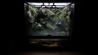 'Valley Of Fog' Vampire Crab Paludarium | '안개의 계곡' 60*45*60 뱀파이어크랩 팔루다리움