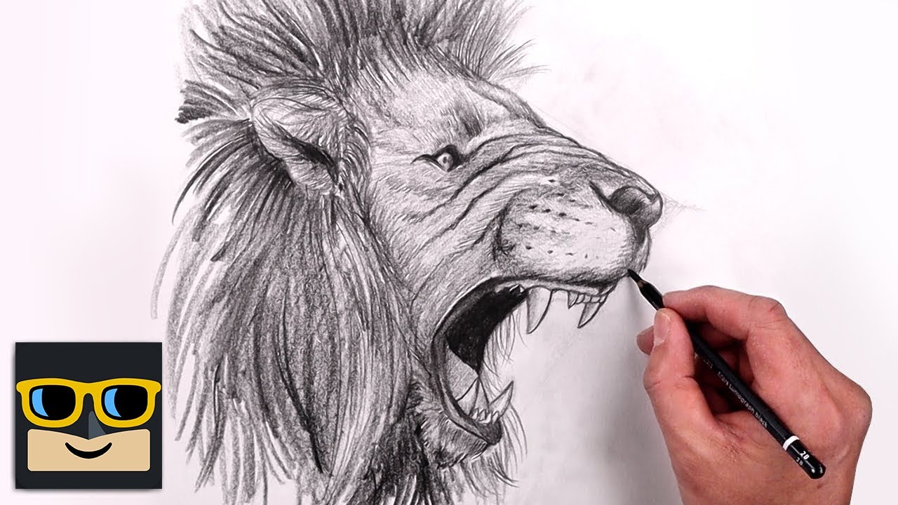 How To Draw a Lion | Sketch Tutorial - YouTube