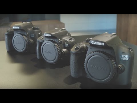 Video: Fotograf Cestoval Iba S Dvoma Fotoaparátmi Na Jedno Použitie. Toto Je Výsledok