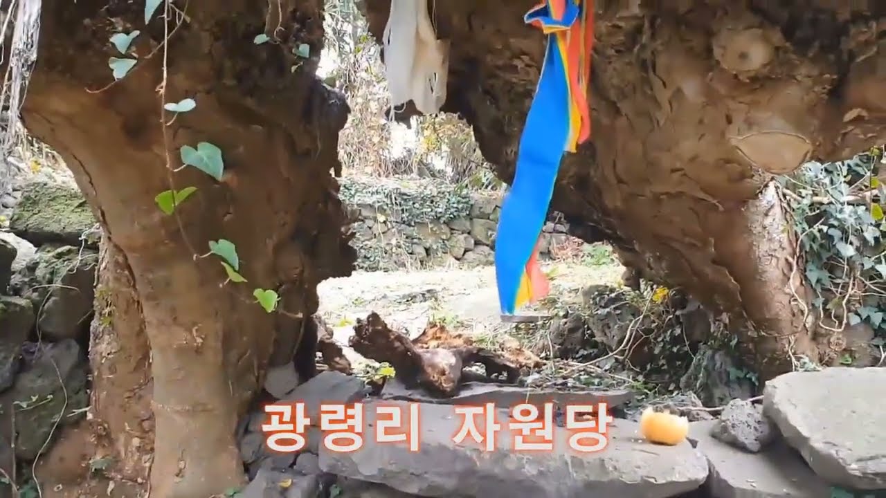 제주도 광령리자원당-김용교수의 기도터순례-5