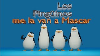 Los Pingüinos me la van a Mascar en 3D