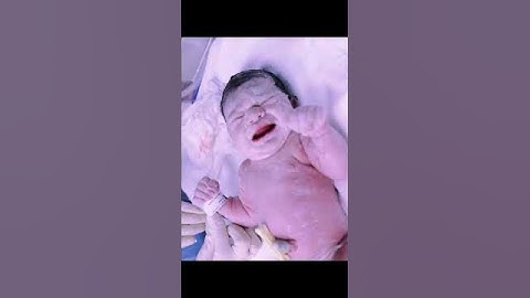 Thumbnail of When Love Delivers Life | Calm and Beautiful Baby Birth at Hospital  #shorts #shortsfeed
