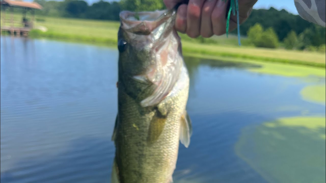 Bass fishing for 8 minutes
