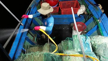 Cách Bủa Rập Xếp, Thả Rập Xếp Xuống Biển Đánh Bắt Hải Sản