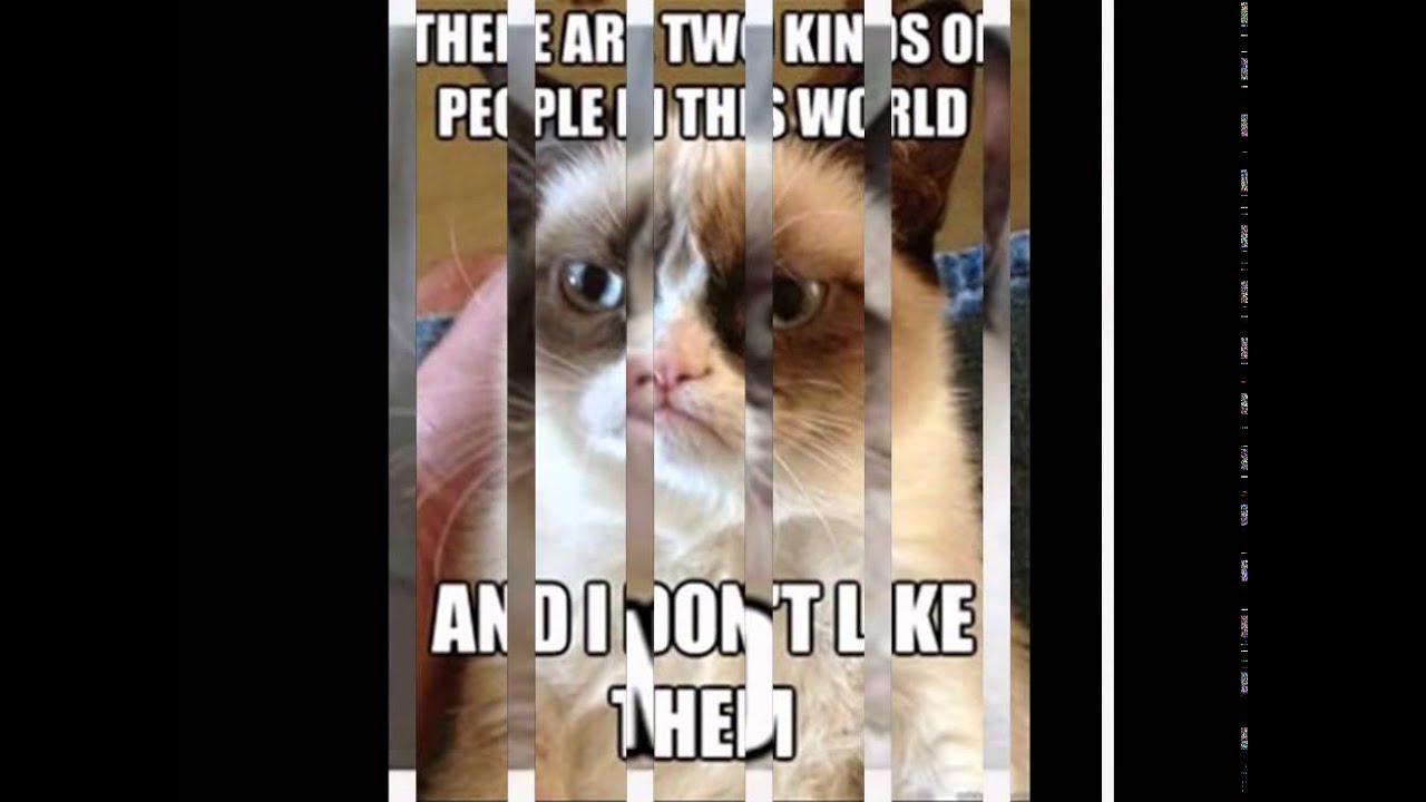 Grumpy Cat - YouTube