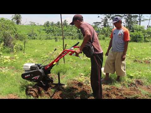 Video: Apakah traktor ukuran terbaik untuk ladang kecil?