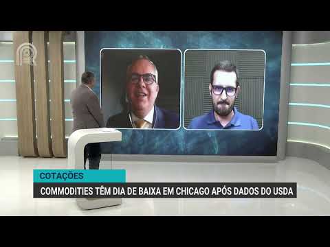 Cotações | Commodities têm dia de baixa em Chicago após dados do USDA | Canal Rural