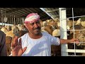 12000 Riyal 🦬 9 Lakh Ka Bull in Makkah Bakra Mandi (Brazilian Bull) 🐫 Pehle Camel Dekha'' Pher Khaya Mp3 Song