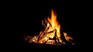 Campfire Chat and News Update