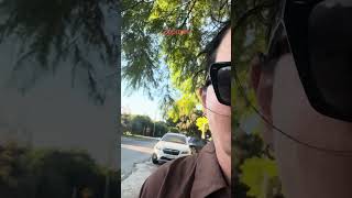 Just casually walking around Byron Bay with the dogs… and oh look 👀 is that Liam Hemsworth?! 🤣