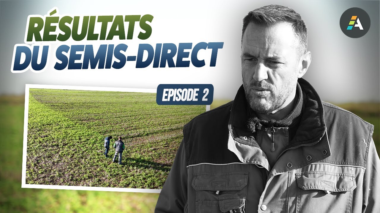 Du semoir aux parcelles : les résultats du semis-direct chez Mathieu