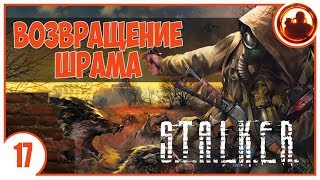 S.T.A.L.K.E.R. ВОЗВРАЩЕНИЕ ШРАМА # 17. МЯСНОЙ ФРИПЛЕЙ. S.T.A.L.K.E.R. ВОЗВРАЩЕНИЕ ШРАМА # 17. МЯСНОЙ ФРИПЛЕЙ.