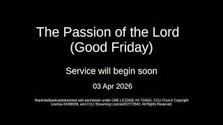 2026-04-03 The Passion of the Lord (Good Friday)