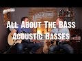 Acoustic basses are they any good  all about the bass