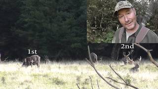 13pt sika stag & double drop tine sika stag taken by happy hunters