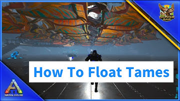 How to Float Tames