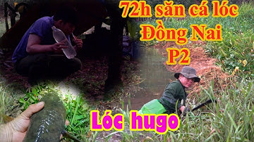 Hành trình săn cá lóc hugo tập 61