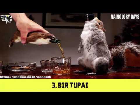 5 Minuman Beralkohol Paling Aneh Di Dunia