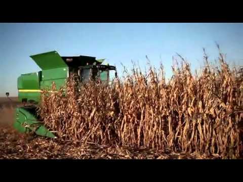 John Deere - 600 Series Cornhead Informational