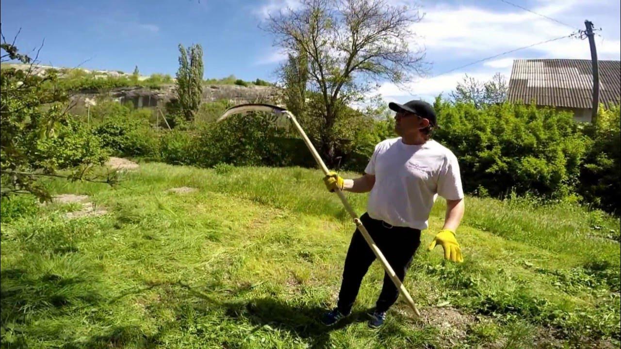 Ивняк на берегу реки. Косить траву. Коса косить траву. Ива плакучая для живой изгороди. Косилка скаут 9g-1.