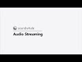 Audio streaming