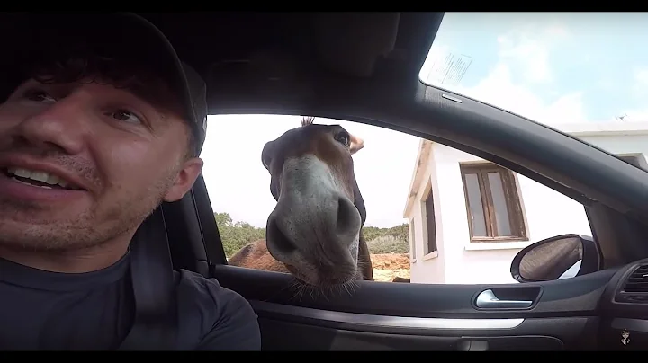 Cyprus in 2 Days: Day 1