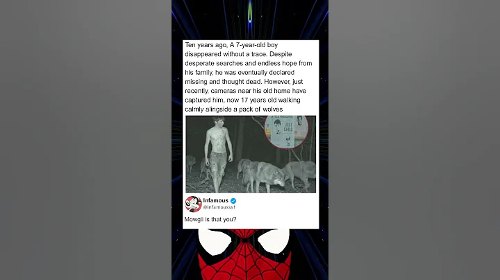 10年前、7歳の少年が跡形もなく姿を消しました。必死の捜索と