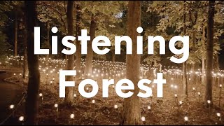 Listening Forest  Crystal Bridges Museum