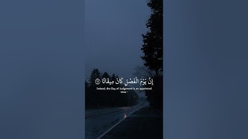 سورة النبأ بصوت القارئ عبد الرحمان مسعد