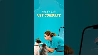 The Wagr App: The Future Of Pet Care screenshot 5