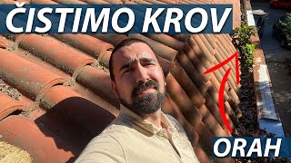 ČISTIMO KROV NAKON POPLAVE, RASTE ORAH | VLOG