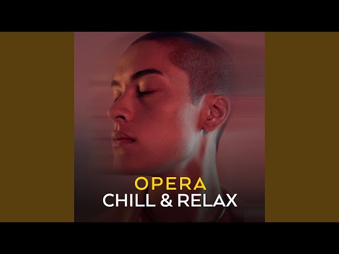 Ольга Бородина, Welsh National Opera Orchestra, Carlo Rizzi - Ponchielli: La Gioconda / Act 1 - "Voce di donna o d'angelo"