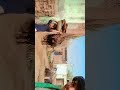 #2025 #2024 #status #newsong #shayari #vlogs #youtube #love #youtube #funny