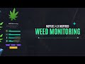 FiveM : NoPixel 4.0 Inspired Weed System with Modern UI