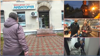 ВЛОГ №451 ПРИЁМ АЛЛЕРГОЛОГА, КУПИЛИ УМНЫЙ АКВАРИУМ И РЫБОК С КРЕВЕТКАМИ, ПОДГОТОВКА КО ДНЮ РОЖДЕНИЯ