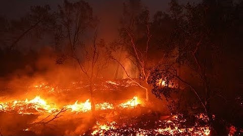 Structures Burn as Palisades Fire Explodes to 1,200+ Acres