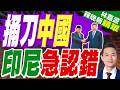 修正先前失言風波 印尼稱守航行自由 | 捅刀中國 印尼急認錯 | 郭正亮.帥化民.介文汲深度剖析【林嘉源辣晚報】精華版@中天新聞CtiNews