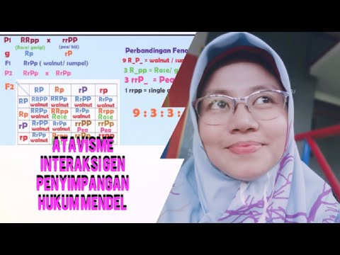 Atavisme (Penyimpangan Hukum Mendel 2)