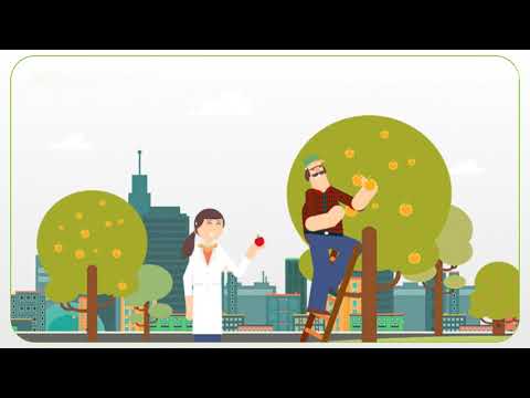 რეკომენდაციები აზიური ფაროსანას წინააღმდეგ