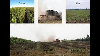 Webinar: Restoration From Biomass Poplar Plantings to Conventional Ag