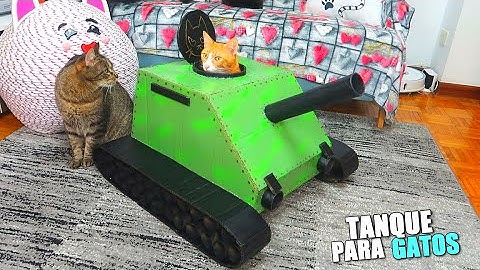 TANQUE PARA GATOS