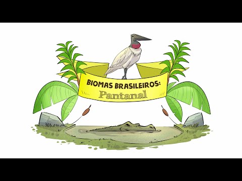 BIOMAS BRASILEIROS: PANTANAL