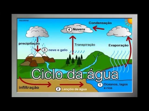 Vídeo: Quais são as 6 etapas do ciclo da água?