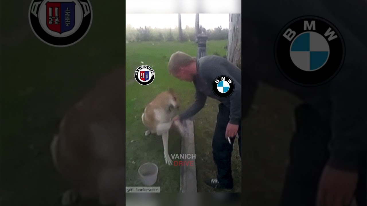 Почему ALPINA — это не BMW M? 