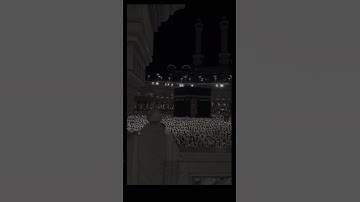 #قرآن #المصحف #قران_كريم #راحة_نفسية #قطر #اكسبلور #تلاوات #تلاوة_خاشعة #صلاة