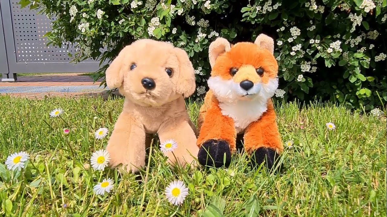 🎵Things That Make It Warm • Cavetown (Cover) | Kevin Fox