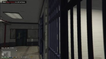 Cops: Live in the LSPDFR Matrix 31, Field Test.