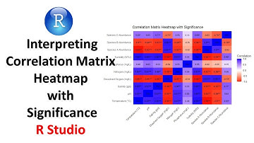 Interpreting Correlation Matrix Heatmap with Significance in R | Comprehensive Guide